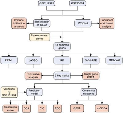 Identification of platelet-related subtypes and diagnostic markers in pediatric Crohn’s disease based on WGCNA and machine learning